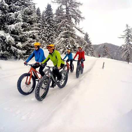 Bio-Holzhaus Und Landhaus Heimat Ramsau am Dachstein Eksteriør bilde