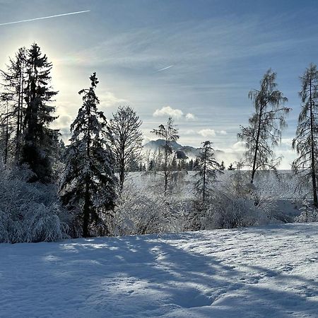 Bio-Holzhaus Und Landhaus Heimat Ramsau am Dachstein Eksteriør bilde