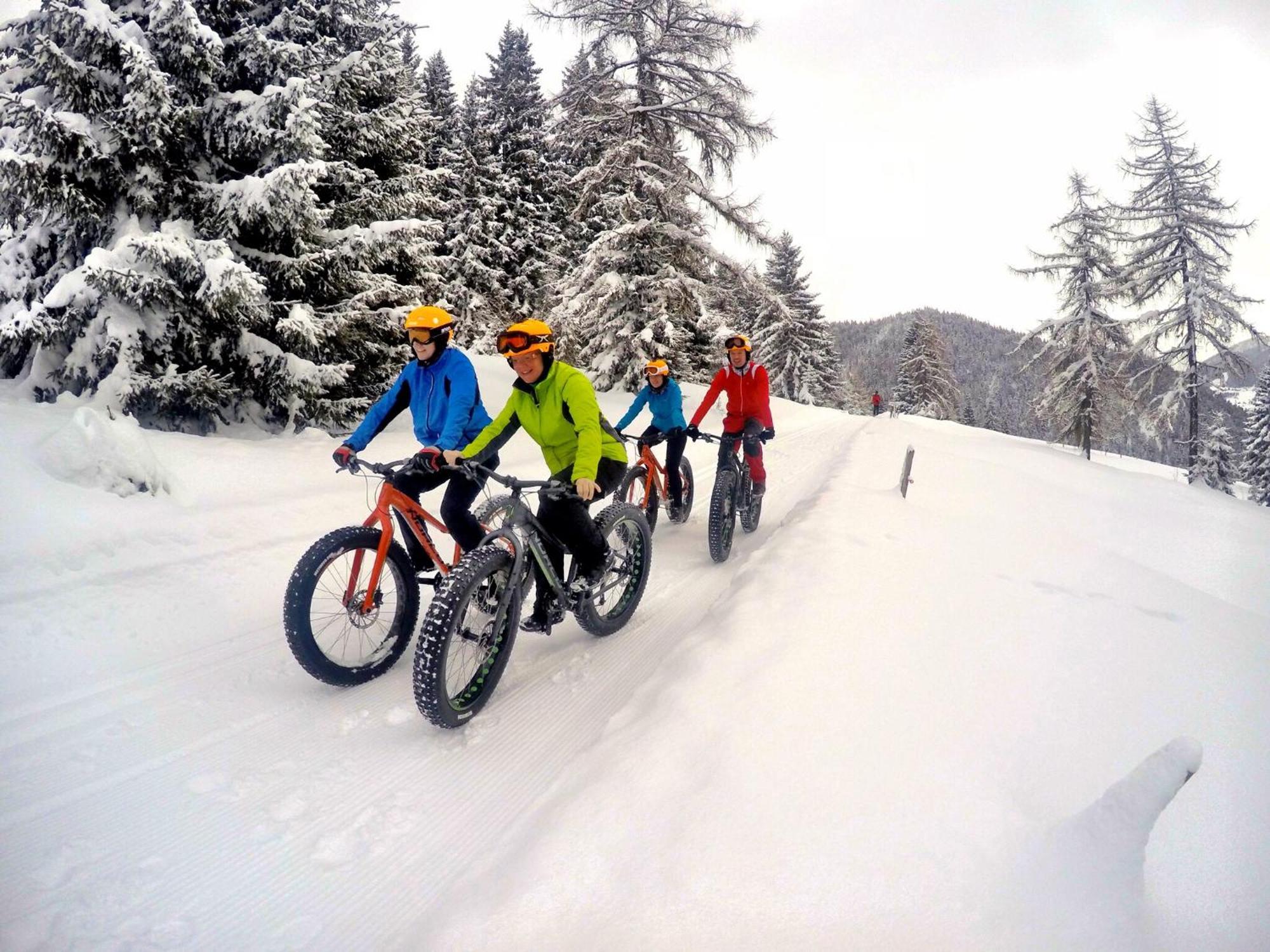 Bio-Holzhaus Und Landhaus Heimat Ramsau am Dachstein Eksteriør bilde