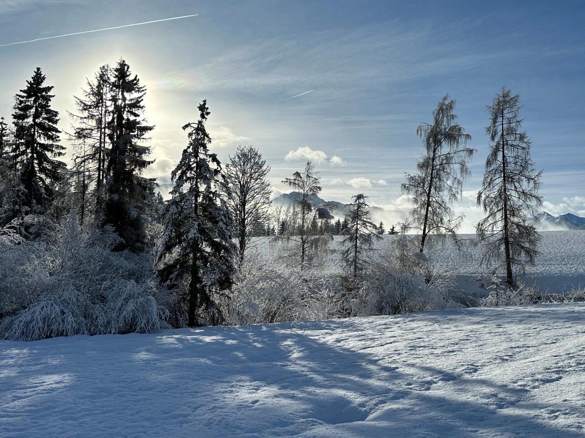 Bio-Holzhaus Und Landhaus Heimat Ramsau am Dachstein Eksteriør bilde
