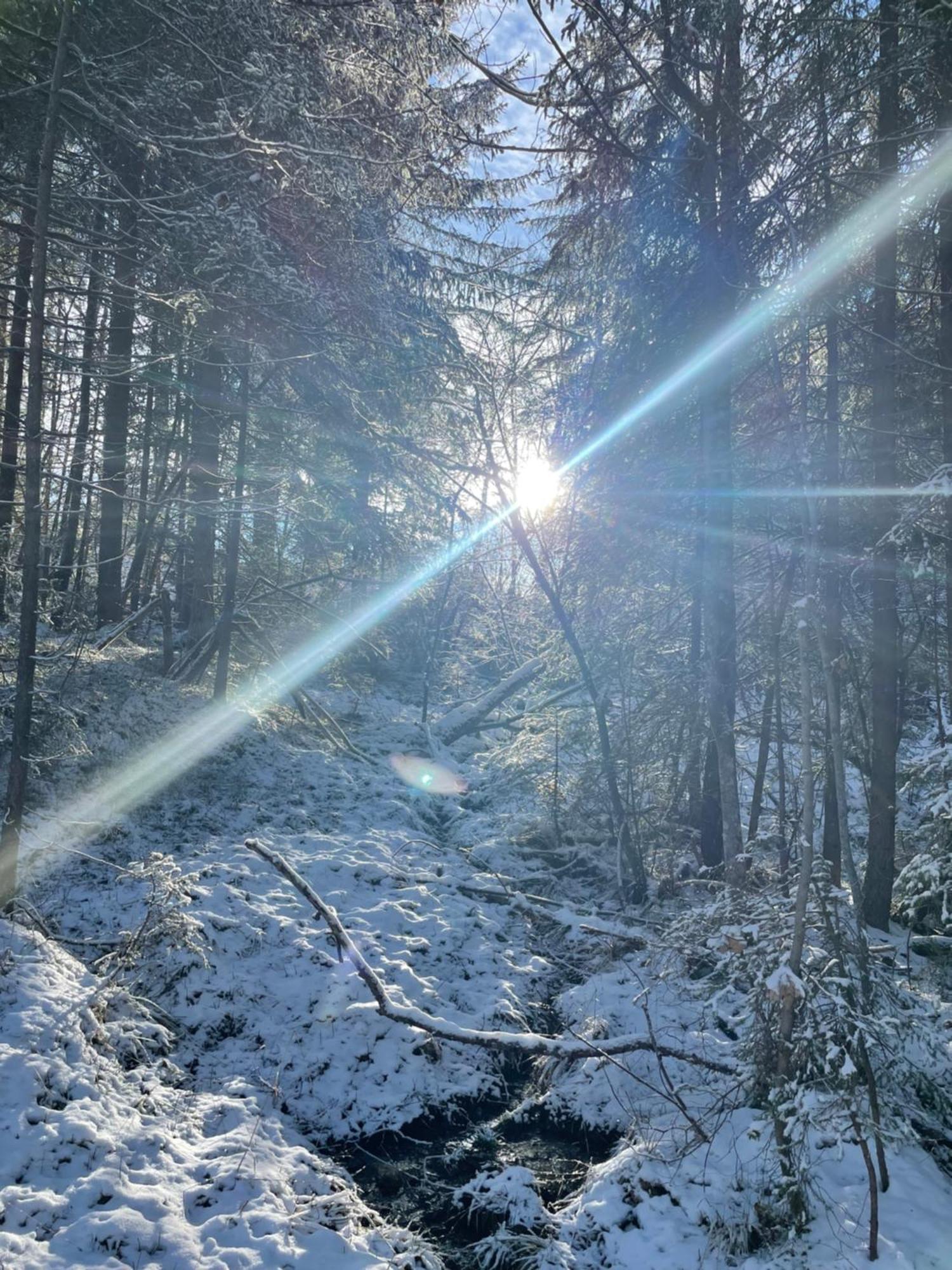 Bio-Holzhaus Und Landhaus Heimat Ramsau am Dachstein Eksteriør bilde
