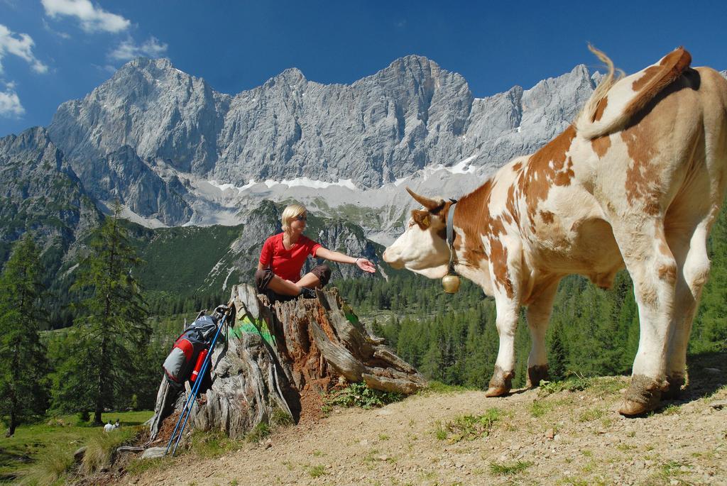 Bio-Holzhaus Und Landhaus Heimat Ramsau am Dachstein Eksteriør bilde