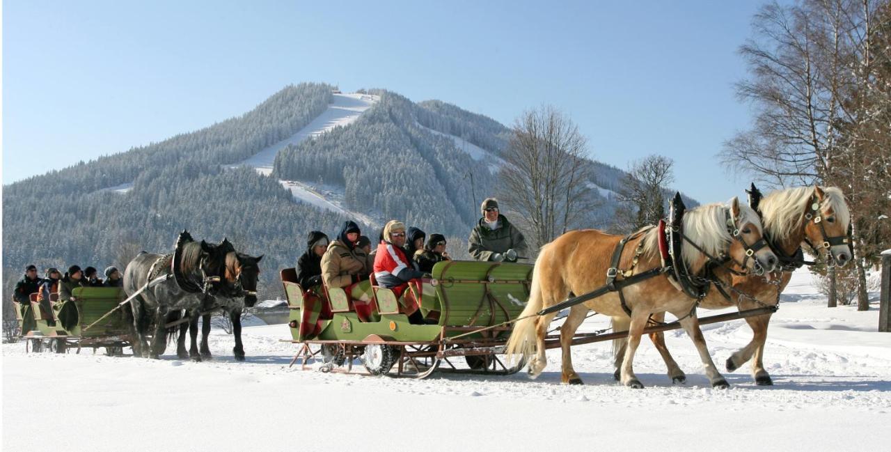 Bio-Holzhaus Und Landhaus Heimat Ramsau am Dachstein Eksteriør bilde